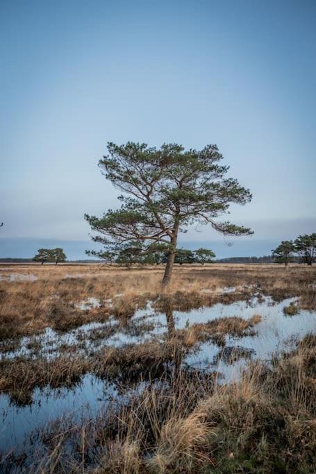 Leva - Logeren In Drenthe Villa Doldersum Exterior photo